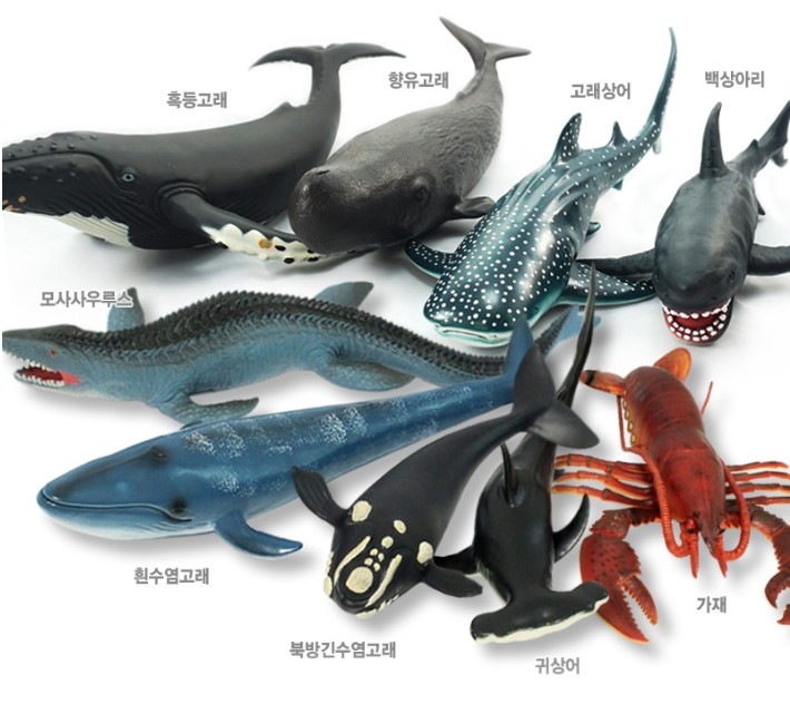 소프트 해양9종세트				 					 				